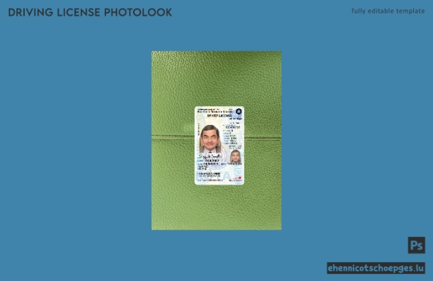USA, Nördliche Marianen, Führerschein für unter 21-Jährige (2019–heute), Fotoansicht (Beispielvorschau)